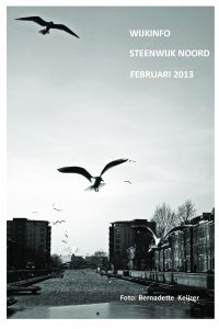 Wijkinfo februari 2013